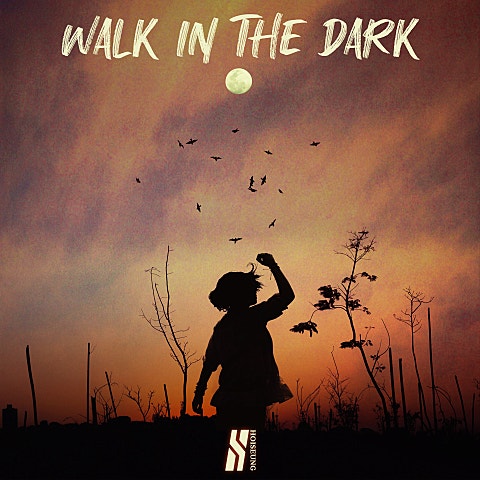 Walk In The Dark 앨범 커버